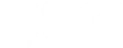 909C