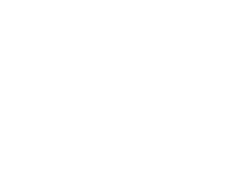 DS Automobile