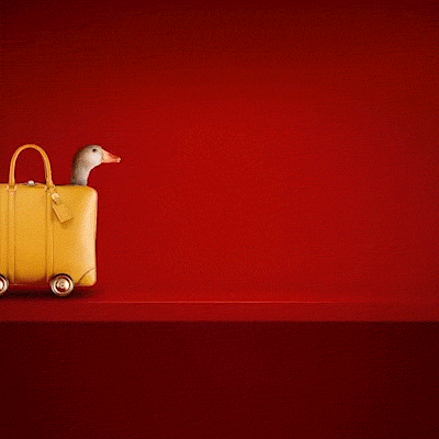 Christmas 2013 Animations