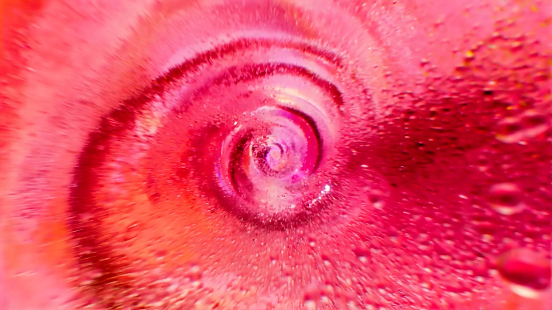 Rosé 2020
