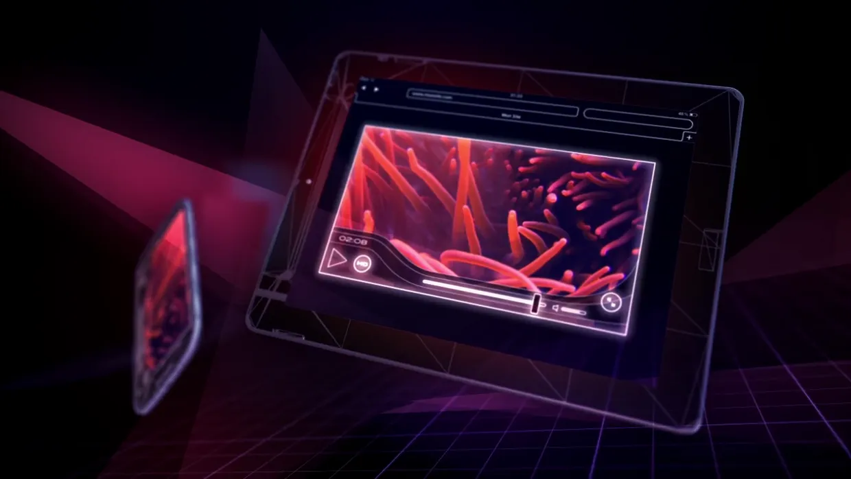 SublimeVideo Framework