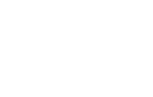 La Fourmi